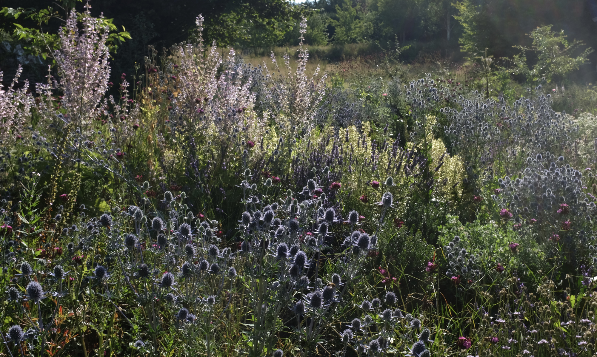 Planting Design